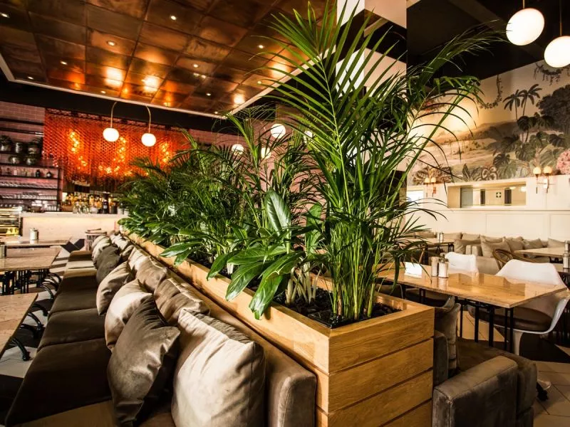 Restaurant image
