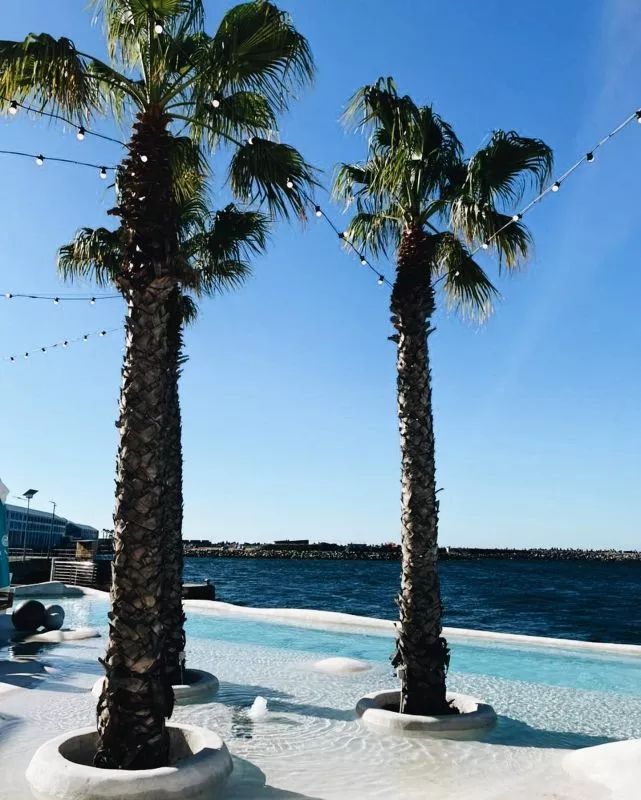 Restaurant image