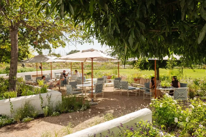 Restaurant image