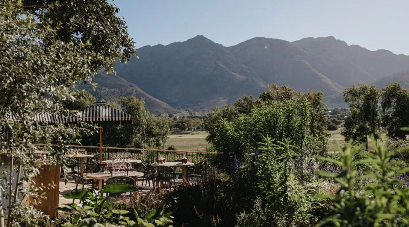 Restaurant image