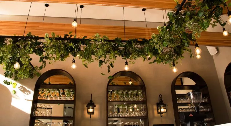 Restaurant image