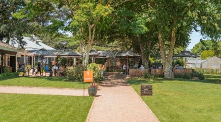 Restaurant image