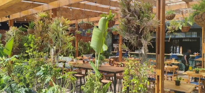 Restaurant image