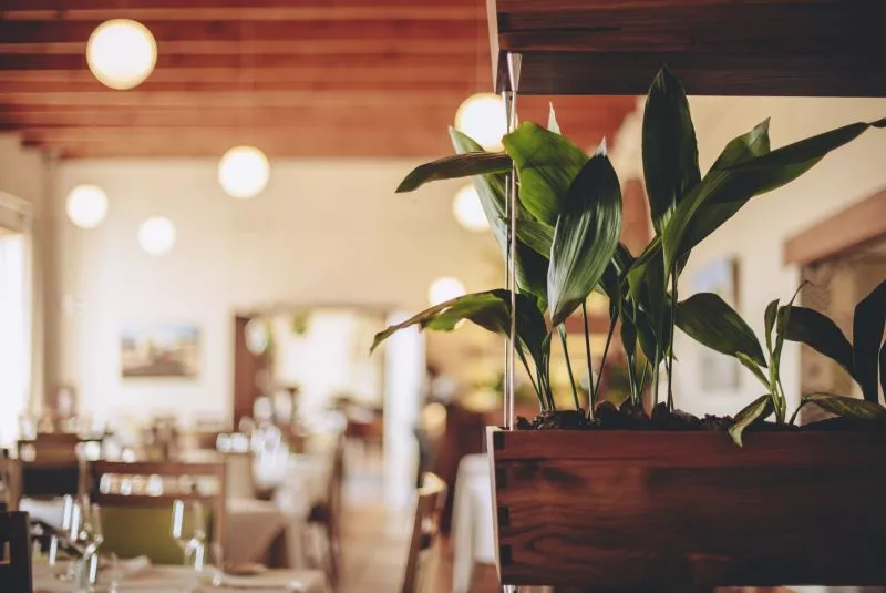 Restaurant image