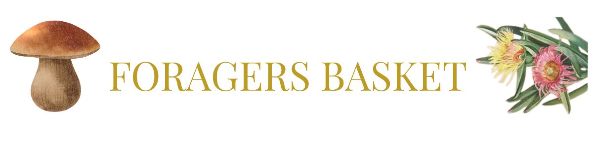Foragers Basket - 8 Course Experience - Plant Based