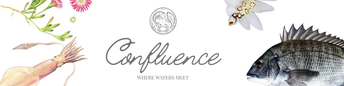 Confluence - Where Waters Meet