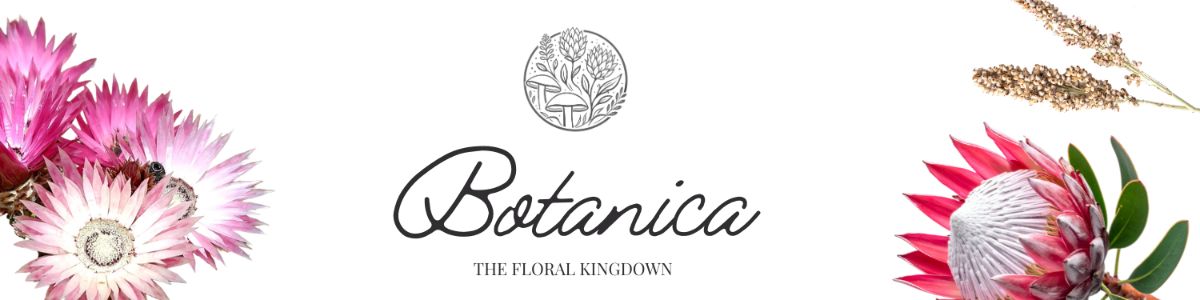 Botanica - The Floral Kingdom