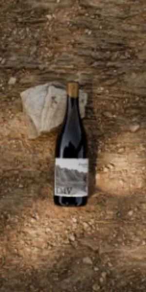 Wine tasting