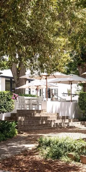 3-Course Christmas Lunch at El Picoteo