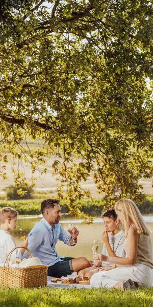 Christmas Picnics at El Picoteo