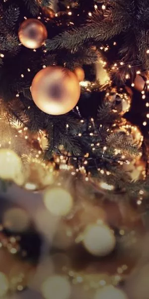Christmas Feast