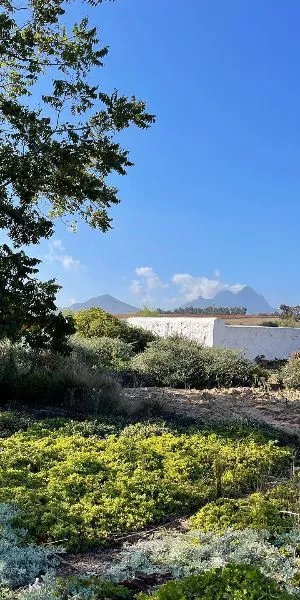 Farm and Winery Walk at Joostenberg