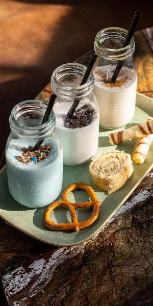 Wilde Vy Milkshake Experience