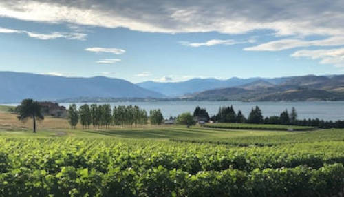 Wineries & Picnic Venues