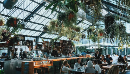 Restaurant Groups